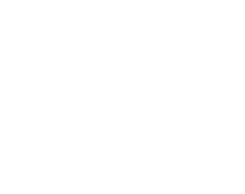 FlintN